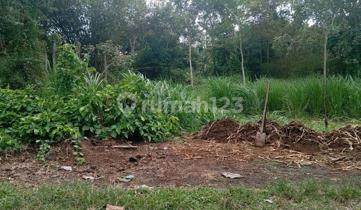 Tanah Luas Duren Talun