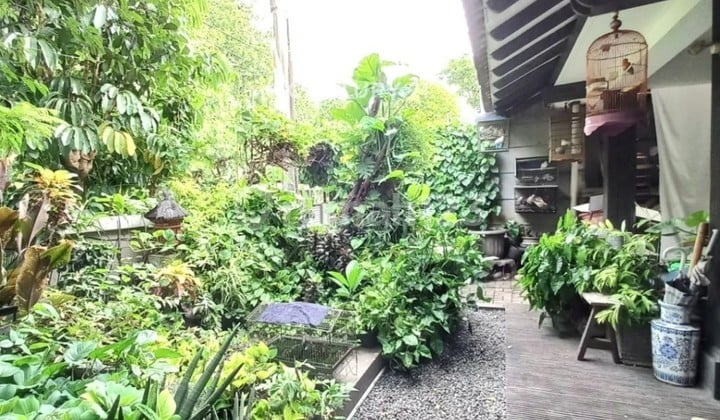 Rumah Tanah Luas Siap Huni Di Bintaro Sektor 2 5098