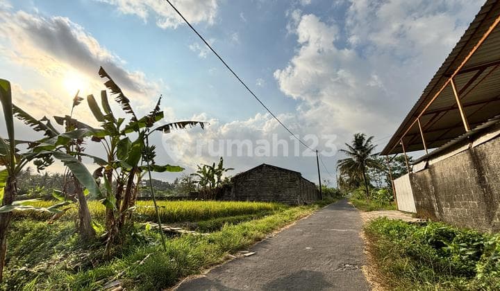 Dijual Tanah Bekas Kandang Ayam di Dekat Terminal Pakem