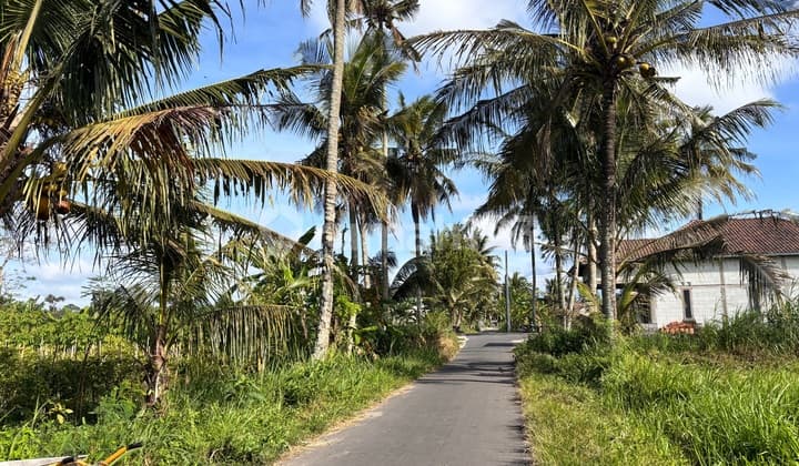 Tanah di Dekat Jalan Grogolan . Timur Kampus Uii Jakal