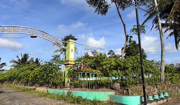 Dijual Tanah 291M di Jalan Grogolan . Dekat Kampus Uii Jakal