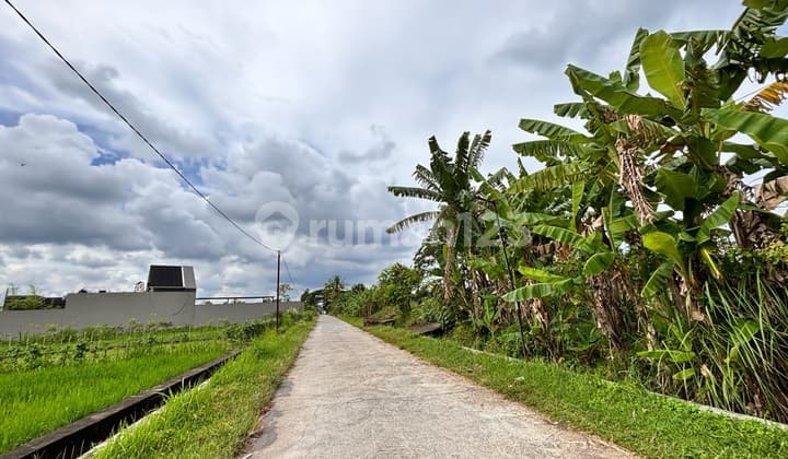 Dijual Tanah 2 Menit Dari Stadion Maguwoharjo Jogja