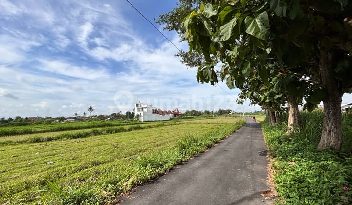 Dijual Tanah Murah di Jalan Pakem Prambanan