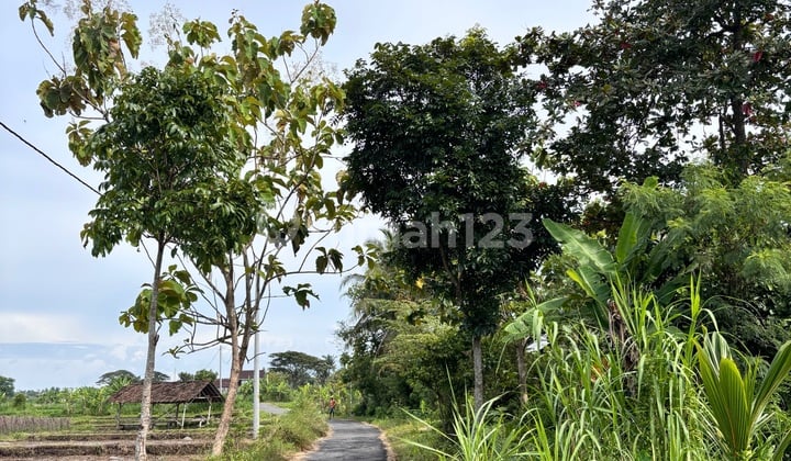 Dijual Tanah di Selatan Koroulon Bimomartani Ngemplak