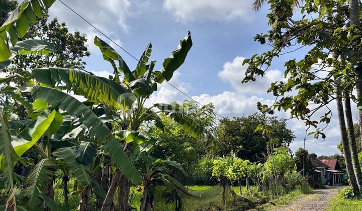 Dijual Tanah SHM di Jalan Pandanaran Jalan Kaliurang Km 12