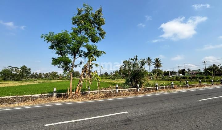 Di Jual Tanah di Jalan Pertanian Dekat Kopi Klotok
