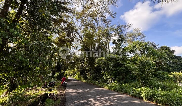 Dijual Tanah di Jalan Puntuk Umbulmartani.timur Kampus Uii Jakal