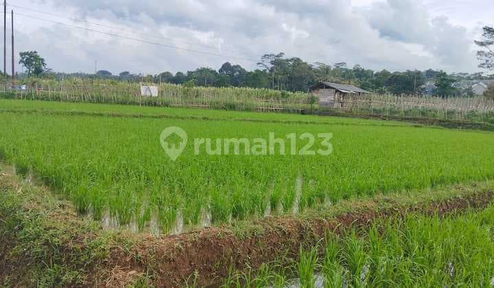 Strategic Land for Sale in Kampung Ciseuti Subang