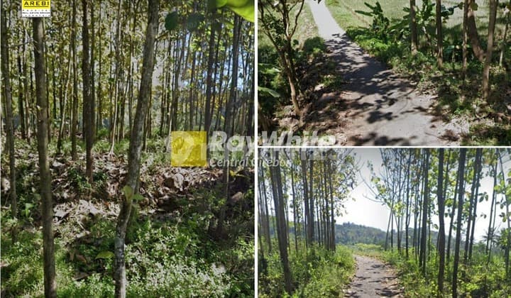 Dijual Tanah Kebun Jati di Padahanten Sukahaji Majalengka
