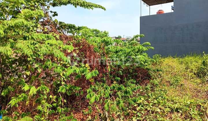 Jual Tanah Kavling di Randegansari, Driyerejo, Gresik (Mepet Surabaya)