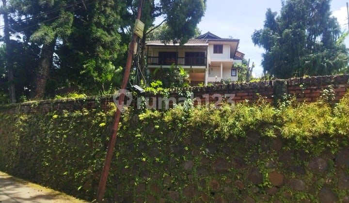Auction Asset! "Charming 2-Story House with Tea Plantation View in Cisarua Puncak"