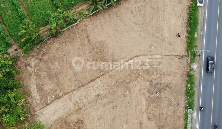 Tanah Potensial untuk Investasi Jangka Panjang di Cilacap