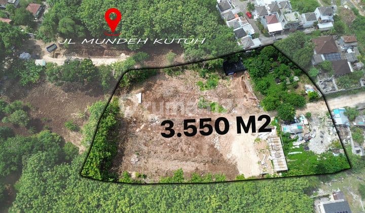 Tanah Murah Dijual Kutuh Luas Tanah 35.5 Are ( 3.550 M2)