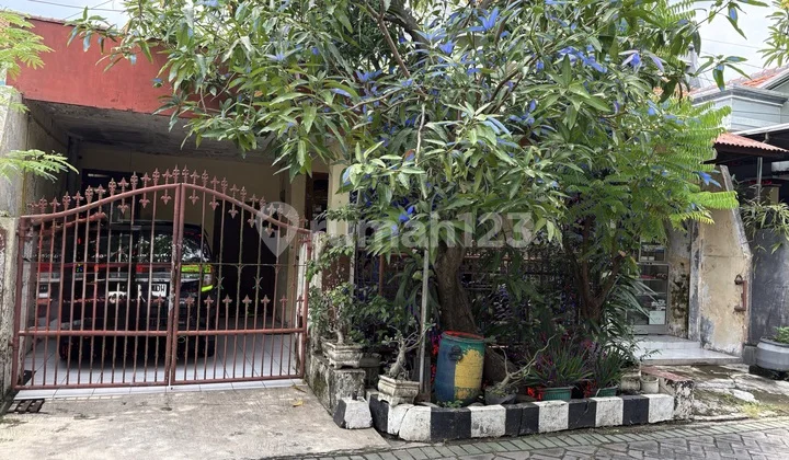 Dijual Cepat Rumah Rungkut Menanggal Selatan Dijual Cepat Rumah Rungkut Menanggal Selatan