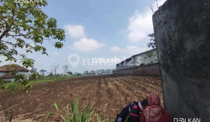 Dijual Tanah Luas 69 M² di Pakis Malang
