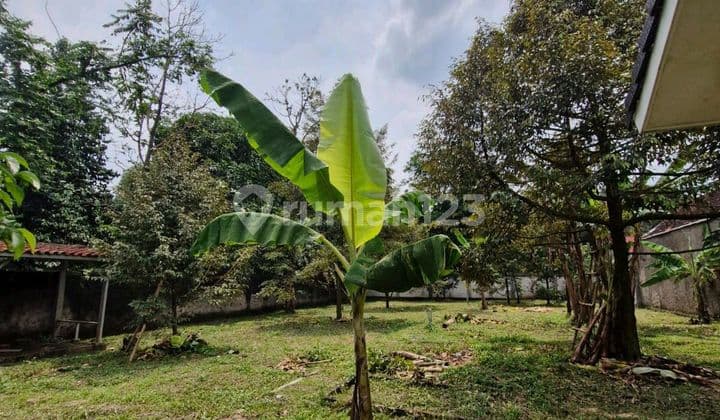 Dijual Tanah Kebun Cimanggis Bonus Rumah Harga Nego
