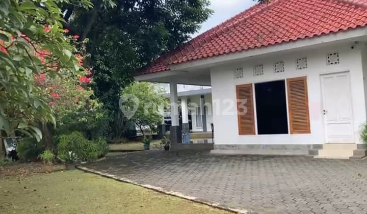 Beautiful House for Sale in Cibubur, Spacious and Green Land, Negotiable