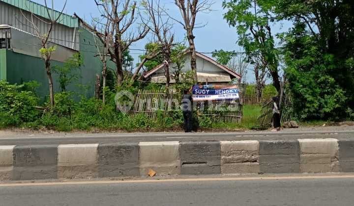 Strategic Land in Pantura Losari Cirebon