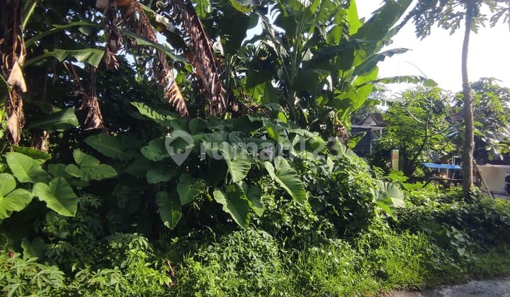 Tanah Siap Bangun Sanggulan Kediri Tabanan