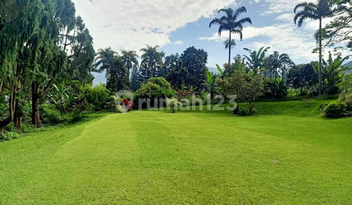 Selling Villa in Puncak, 1 Ha (10,000 m2), Cisarua Bogor, Jl Gandamanah, Tugu Selatan.