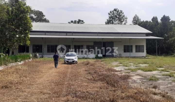 Former Tobacco Warehouse, Fuso Access, Tempurejo. Legality: SHM.