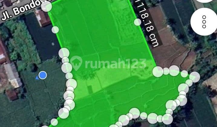 Tanah Murah Tepi Aspal Dekat Bobin, Jl Jember-Bondowoso