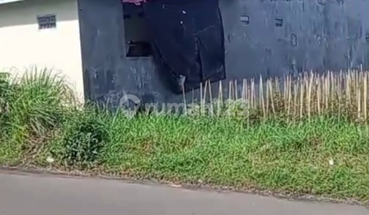 Tanah Murah Utara Terminal Pakusari. Cocok Utk Gudang dan Pabrik