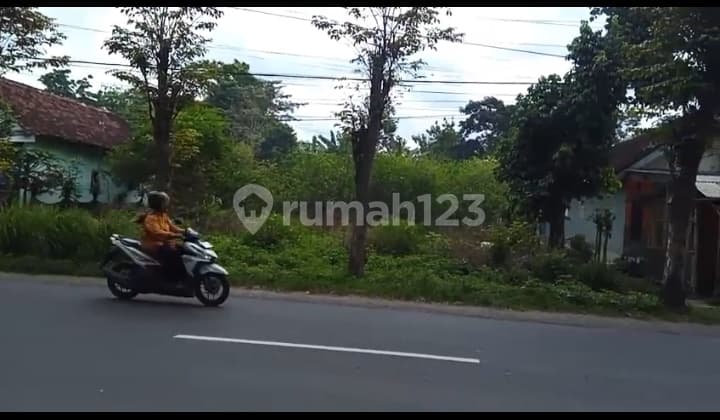 Ajung Klompangan Wide Land, Busy and Promising Location