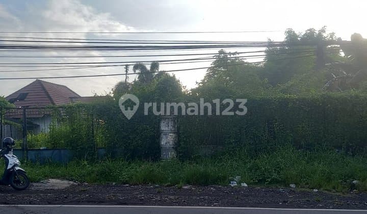 Tanah Ajung SHM 1500 M² Pinggir Jalan Cocok Usaha Strategis