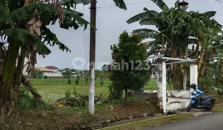 Tanah Strategis Dekat Rs Paru, Pusat Kota Jember