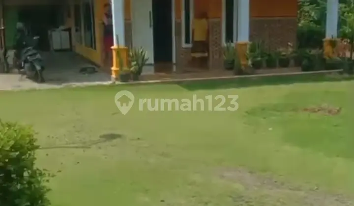 Tanah SHM Pekarangan Klompangan Ajung, Akses Mudah