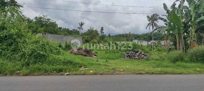 Tanah Pinggir Jalan 496 M² SHM di Gebang Jember, Lokasi Strategis