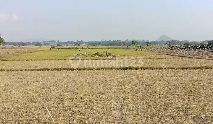 Lahan Luas Dekat Jember Sport Garden Akses Jalan Mudah, SHM Aman