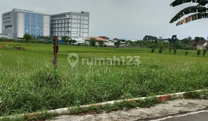 Tanah Strategis Dekat Pusat Kota Jember, Belakang Rs Paru Baru. SHM