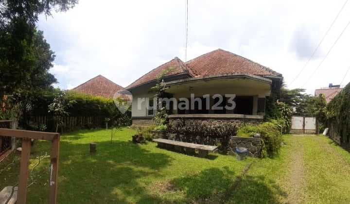 Rumah Vintage Asri Adem Sayap Riau untuk Kantor Usaha Rumah Nego