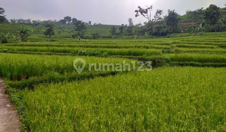 Tanha Bagus Buat Vila View Keliling