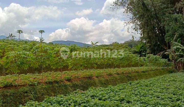Selling Land in Bogor Land