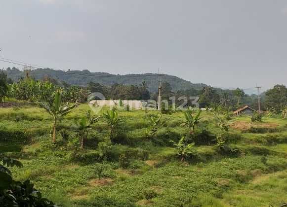 Tanah Murah di Bogor