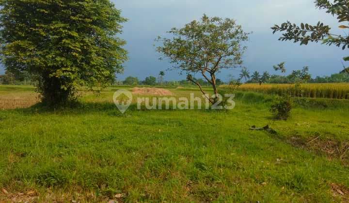 Good Land for a Villa