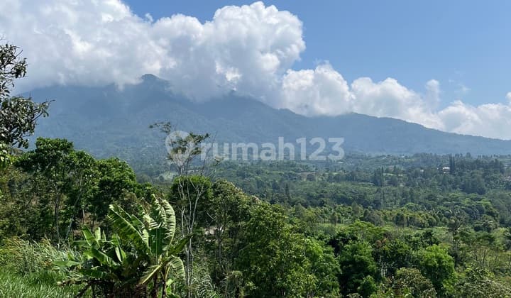 Tanah Bagus Buat Vila di Jual