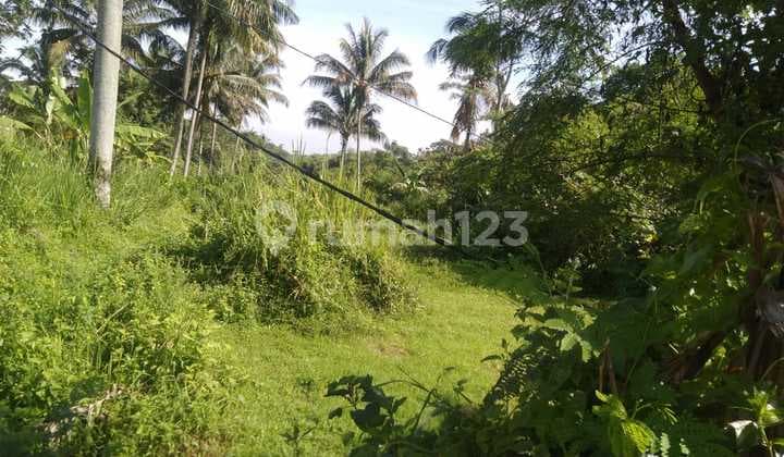 Jual Tanah di Bogir Barat