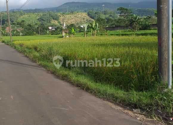 Tanah di Jual di Bogor Barat