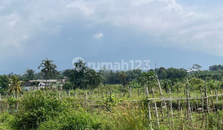 Tanahbagus 3 Kilometers from Cigombong Toll