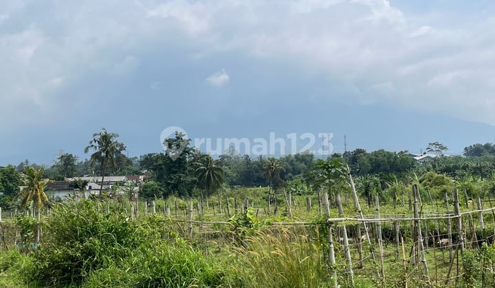 Tanahbagus 3 Kilometers from Cigombong Toll