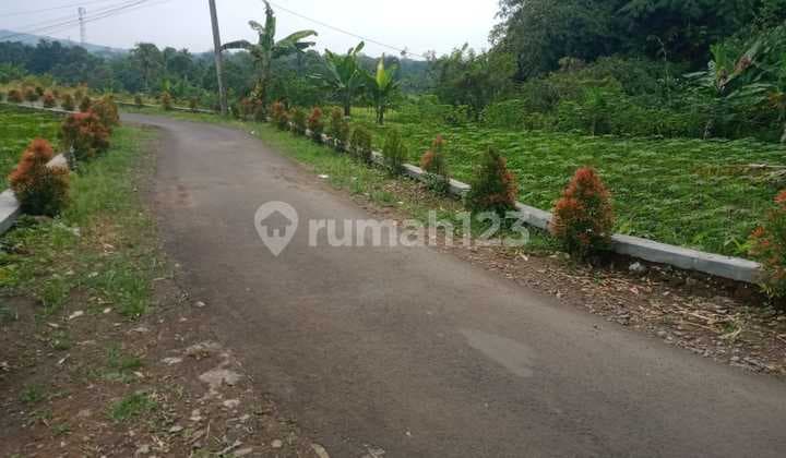 Tanah di Jual di Bogor Kabupaten