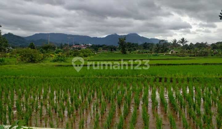 Tanah Murah di Jual