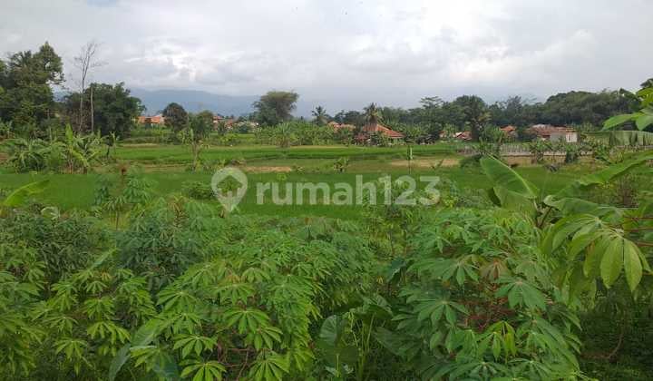 Tanah Bagus Buat Vila atau Perkebunan dan Pertanian