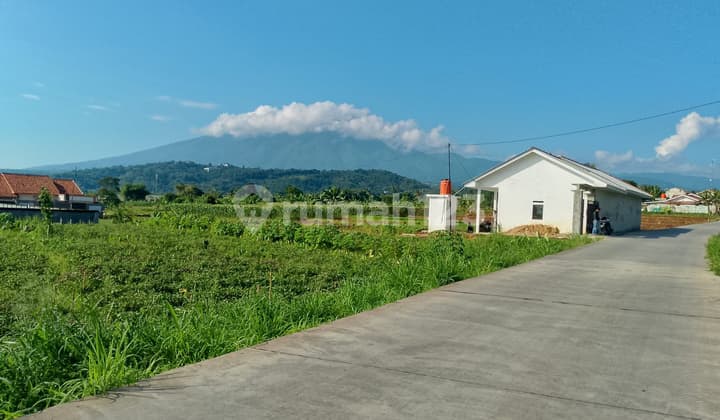 Cheap Good Land