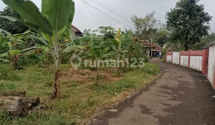 Tanah di Jual