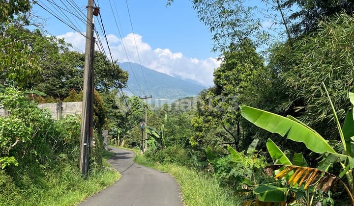 Lahan di Jual Murah Luas1,1 H